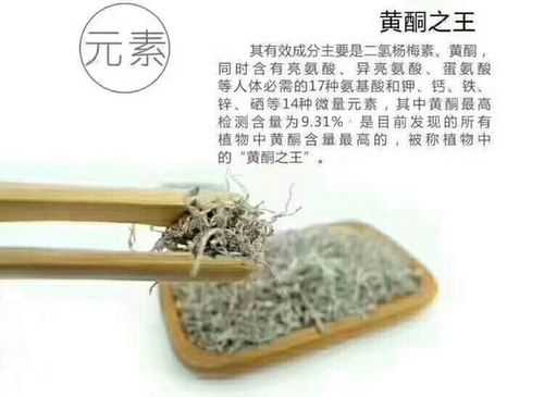 玫白黄酮的功效与作用（黄酮茶的功效与作用）