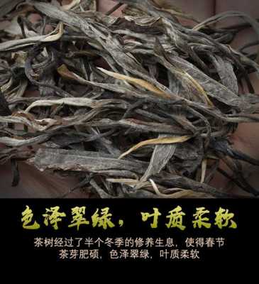 大叶普洱生茶功效与作用（普洱大叶茶多少钱一斤）