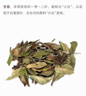 珍稀白茶功效（珍稀白茶的功效）