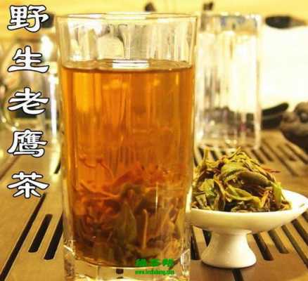 旅茶的功效与作用（老鹰茶的功效和作用）