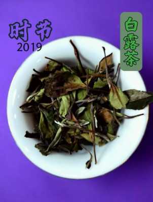 福鼎白露茶的功效（白露福鼎白茶的特点）