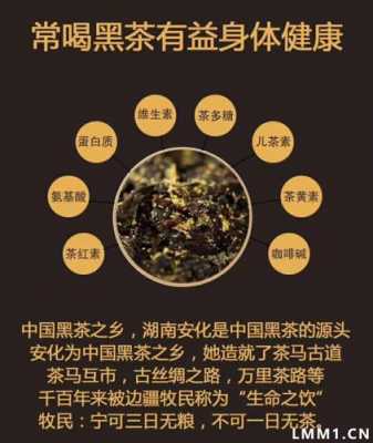 黑茶对胃的功效好处（黑茶对胃的功效好处有哪些）