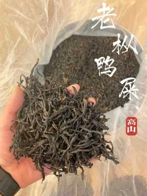 鸭屎茶的作用与功效（什么叫鸭屎茶）