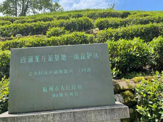 十八颗龙井价格（龙井十八颗御茶）