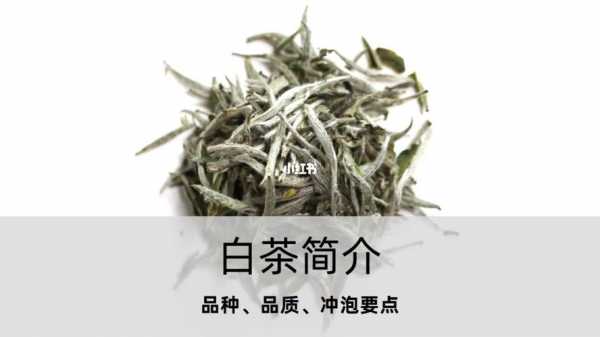 白茶功效介绍（白茶的功效与作用女人适合喝白茶）