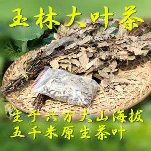 广西玉林大叶茶的功效（广西玉林大叶茶的功效与作用）