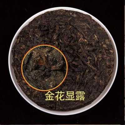 普洱长金花功效（普洱茶中长金花的是否都是好茶?）