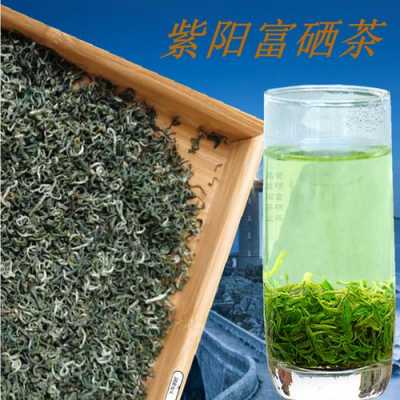 紫阳茶的价格（紫阳茶价格图片大全）