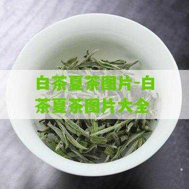 夏茶有什么功效和作用（夏茶上市时间）