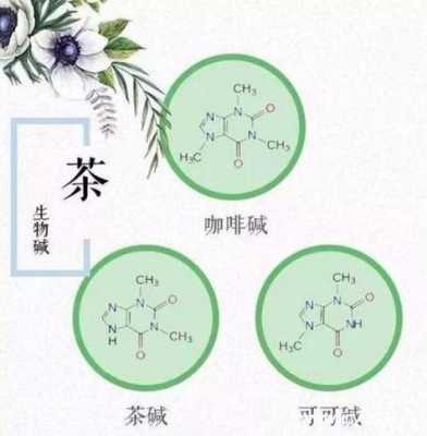 茶叶中生物碱的功效（茶叶生物碱的功效和作用）