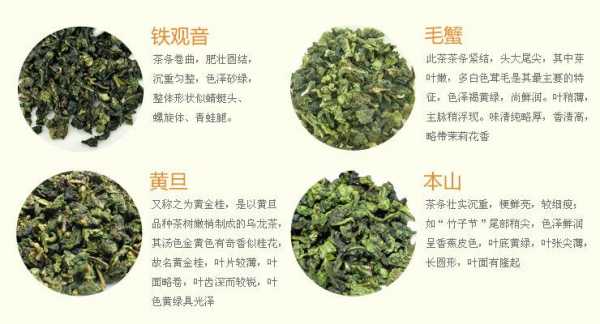 铁观音茶的功效与作用（菊花铁观音茶的功效与作用）