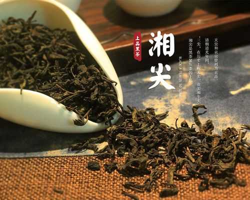 湖南黑茶叶功效作用（湖南毛尖茶叶的功效和作用）