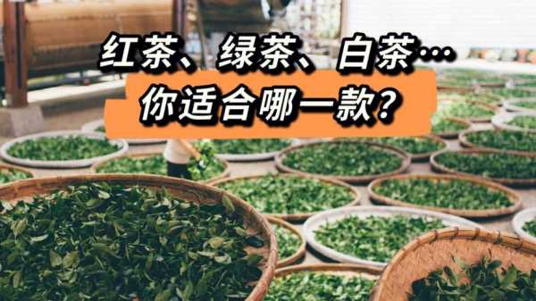 白绿茶功效（白绿茶是什么意思）