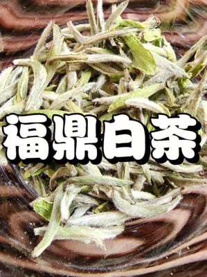 福鼎白茶功效预防感冒（福鼎白茶功效的好处）