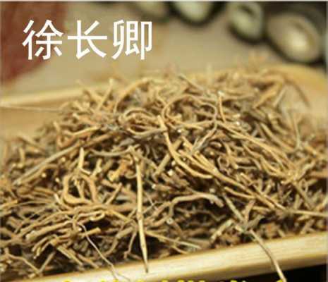 长青茶的价格（须长青的价格）