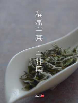 十几年的白牡丹茶功效（十年白牡丹怎么泡）