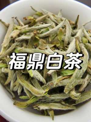 福鼎白茶银针功效与作用（福鼎白毫银针茶的功效与作用）