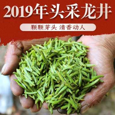 头采绿茶价格多少（头采绿茶价格多少钱一斤）