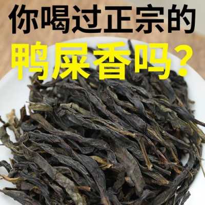 鸭屎香茶叶价格多少钱一斤（鸭屎香茶叶价格多少钱一斤啊）