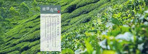 有机茶功效（有机茶是什么）