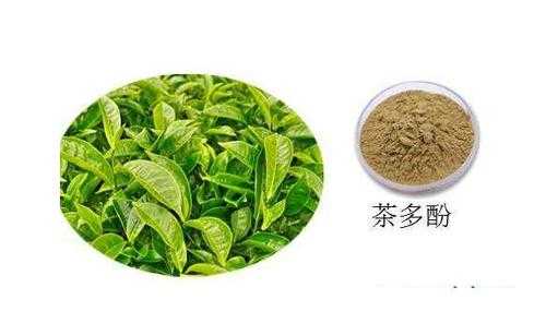 茶多酚有哪些功效（茶多酚的功效与危害）