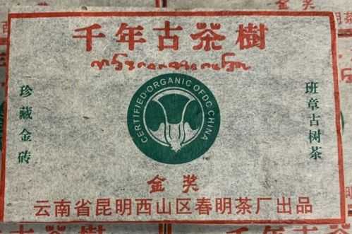 普洱老茶什么价格查询（普洱老茶树价格）