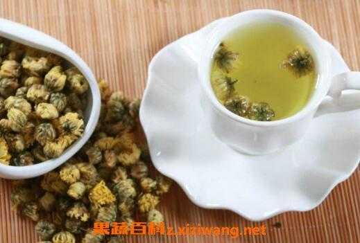 胎菊红茶功效与作用（胎菊茶的功效与作用及禁忌）