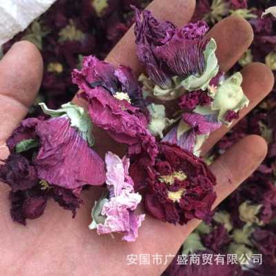 芙蓉花茶功效与作用（芙蓉花茶的功效）