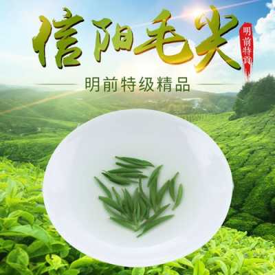 信阳毛尖茶价格多少钱一斤（信阳毛尖茶价格多少钱一斤啊）