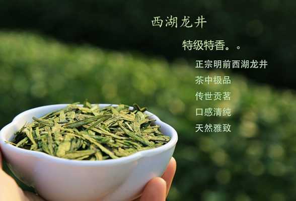 龙井茶饮料功效与作用（龙井茶茶的功效与作用及禁忌症）