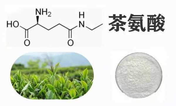 茶氨酸保健功效（茶氨酸的作用和副作用）