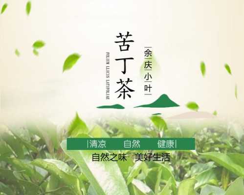 苦丁茶功效（贵州余庆小叶苦丁茶功效）