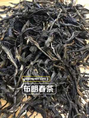 布朗春茶功效（布朗山春茶特点）