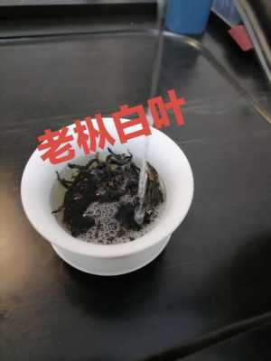 白叶单枞茶功效（白叶单丛属于什么茶）