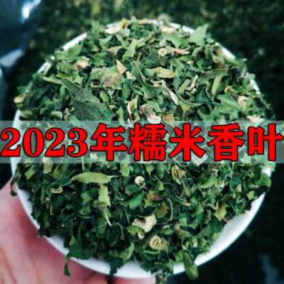 糯米香叶的功效与作用（糯米香叶的功效与作用及食用方法）