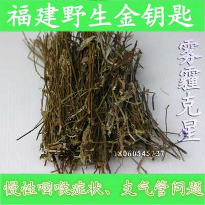 金锁匙茶价格是多少（金锁匙的药用价值）