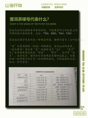 包含第一批8582普洱茶价格的词条