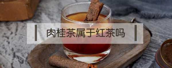 肉桂茶的功效价格（肉桂茶属于红茶吗）