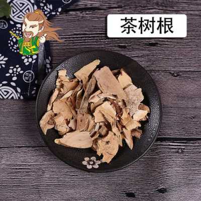 绿茶树根功效（棯树根的功效与作用）