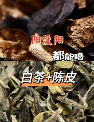 老陈皮老白茶的功效与作用（陈皮老白茶有什么功效）