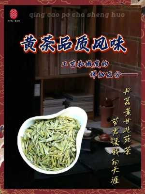 贵州黄茶的功效（黄茶的药用价值）