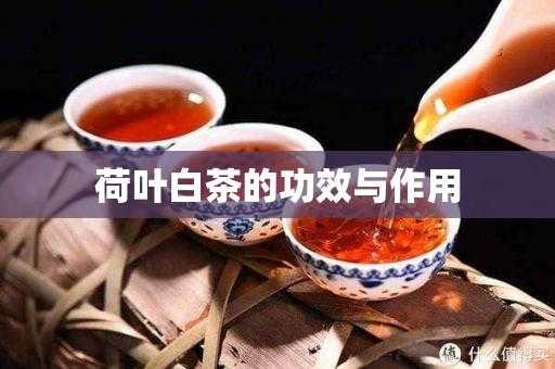 长叶白茶的功效（菏叶白茶的功效）