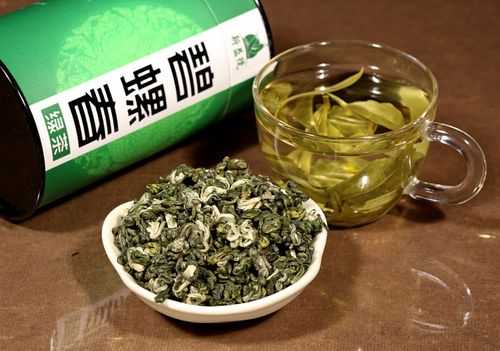 碧螺春茶目前价格（碧螺春茶价格是多少）