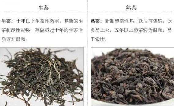 红茶和熟普洱的区别和功效（红茶和熟普洱茶的功效区别）