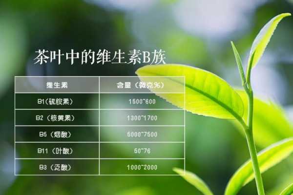 茶叶中维生素功效与作用吗（茶叶维生素含量高吗）