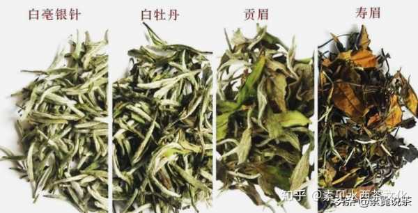 20年白茶的价格（20年白茶多少钱一斤）