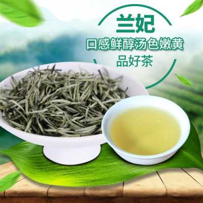 茶兰功效与作用（茶兰功效与作用及禁忌）