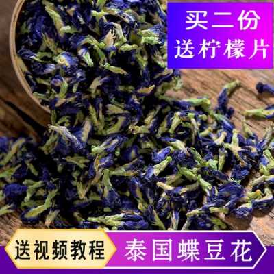 蝴蝶茶功效与作用（蝴蝶茶图片）