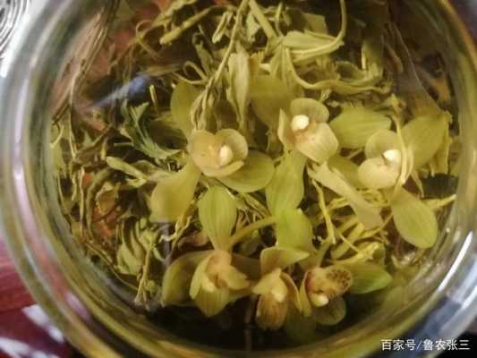 可以泡茶的有哪些功效（可以泡茶的花草有哪些）