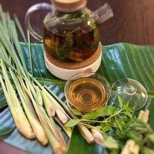 香茅茶的功效及冲泡方法（香茅茶的功效与作用）